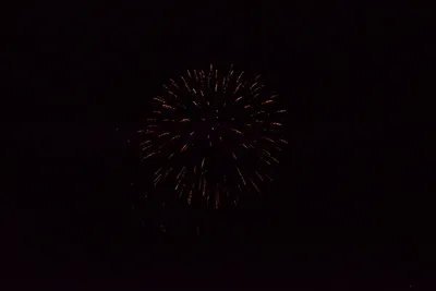 DSC_3391 (Large).JPG